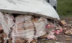 Tavuk eti yüklü TIR şarampole devrildi: 2 yaralı