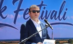 Tekirdağ'da 20 çiftin yuva yaptığı mahallede 'Leylek Festivali'