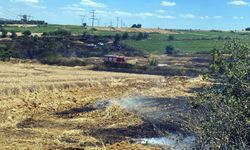 Tekirdağ'da yangın; 200 dekar buğday ekili alan zarar gördü