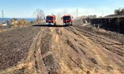Tekirdağ'da yangın; 300 dönüm buğday ekili alan zarar gördü