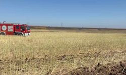 Tekirdağ'da yangında 300 dekar tarım alanı zarar gördü