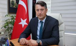 Temizliğin ardından Sapanca Gölü'nde sağlıklı sazlıklar yeniden oluştu