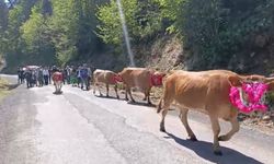 Trabzon'da renkli yayla göçü geleneği