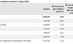 TÜİK: Tarım ürünleri üretici fiyatları mayısta arttı