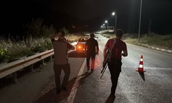 Tünelde otomobilin çarptığı bozayı, kaçarken çaya düştü