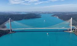 Turkuaz renge bürünen İstanbul Boğazı'nda yunuslar havadan görüntülendi