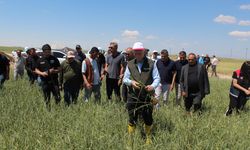 TZOB Genel Başkanı Bayraktar: Buğday rekoltesinin 23 milyon tona yaklaşmasını bekliyoruz