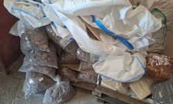 Uşak'ta 30 ton bozulmuş ürün imha edildi