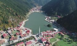 Uzungöl'de yaz manzarası; güneşi gören akın etti/Ek fotoğraflar