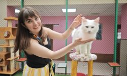 Van Kedi Villası'nda ilk dönem doğumlarda 100 yavru, bayramda 50 bin ziyaretçi