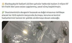Yasa dışı yollarla çekirge toplayan 3 kişiye 2 milyon 97 bin lira ceza