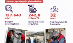 127 bin 643 gıda denetiminde 242,8 milyon lira idari ceza uygulandı