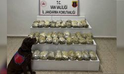 24 ilde uyuşturucu operasyonları: 80 tutuklama