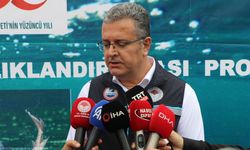30 bin mersin balığı yavrusu Yeşilırmak'a bırakıldı