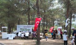 81 ilde eş zamanlı 'Aile Kampı' etkinlikleri düzenlenecek