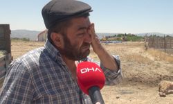 9 buzağısının mangal kömürü üretim tesisinden yayılan dumandan öldüğü iddiasıyla şikayetçi oldu