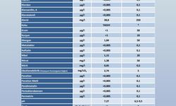 ABB'den 'şebeke suyu' açıklaması