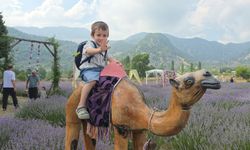 Adana'nın lavanta bahçeleri çekim platosuna dönüştü