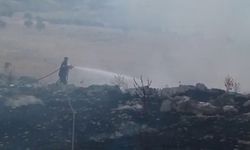 Adıyaman'da orman yangını; söndürme çalışmaları sürüyor
