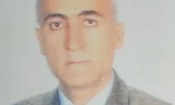 Ağaca çarpan otomobilin sürücüsü eski savcı öldü, eşi yaralandı