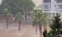 Ağaca yıldırım düşme anı kamerada