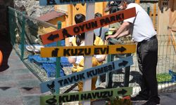 Anaokulu öğrencilerine ormanda doğayla iç içe eğitim