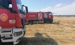 Anız yangını, akaryakıt istasyonuna sıçramadan söndürüldü