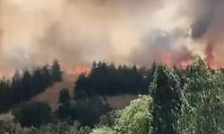 Ankara'da otluk alanda yangın