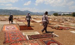 Antalya güneşinde soldurulan tarihi halılar, ABD ve Avrupa'da duvarları süslüyor