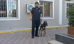 Arnavutköy'de öldürülüp ormanlık alana gömülen fotoğrafçı cinayetine ilişkin detaylar ortaya çıktı