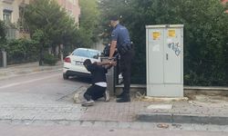 Avcılar'da evine giren şüpheliyi yakalayıp çantasını aradı; hırsızlık yaparken suçüstü yakalandı