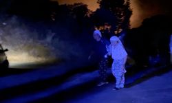Aydın'da orman yangını (5)