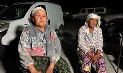 Aydın'da orman yangını (6)