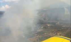 Aydın'da tarım arazisinde yangın (2)