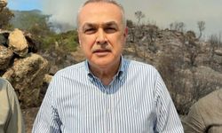 Aydın'daki orman yangını 2'nci gününde (6)