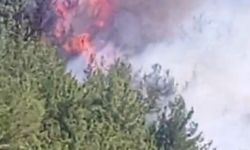Aydın'daki orman yangınına havadan müdahale yeniden başladı (4)
