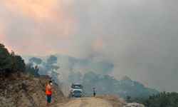 Aydın'daki orman yangınına havadan müdahale yeniden başladı