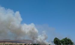 Ayvalık'ta çöplükte yangın