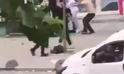 Bahçelievler'de marketteki karpuz fiyatı tartışması tekmeli yumruklu kavgaya dönüştü