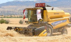 Bakan Yumaklı: Buğdayda yüzde 27, arpada yüzde 50 artış bekliyoruz