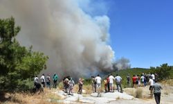 Balıkesir Gömeç'teki yangın 2'nci gününde / Ek fotoğraflar
