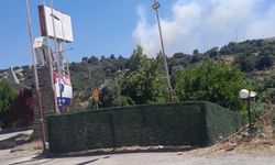 Balıkesir Susurluk'ta orman yangını