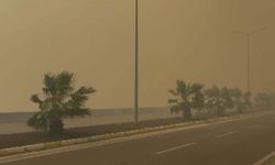 Balıkesir'de orman yangını / Ek fotoğraflar