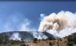 Balıkesir'de orman yangını