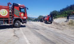 Balıkesir'de orman yangını/Ek fotoğraflar