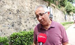 Beşiktaş'taki tarihi ağaçlara 'Çınar kanseri'ne karşı koruma çalışması: İlaçla tedavi yöntemi mümkün değil