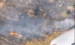 Bilecik'te tarım arazisinde yangın