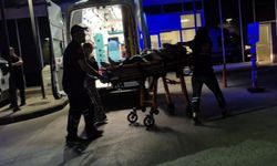 Bodrum'da devrilen motosikletin sürücüsü öldü