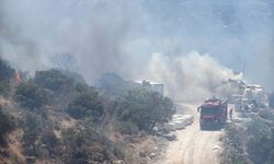 Bodrum'da konteynerde çıkan yangın makilik alana sıçradı