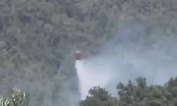 Bodrum'da otluk alanda çıkan yangın, ormana sıçradı